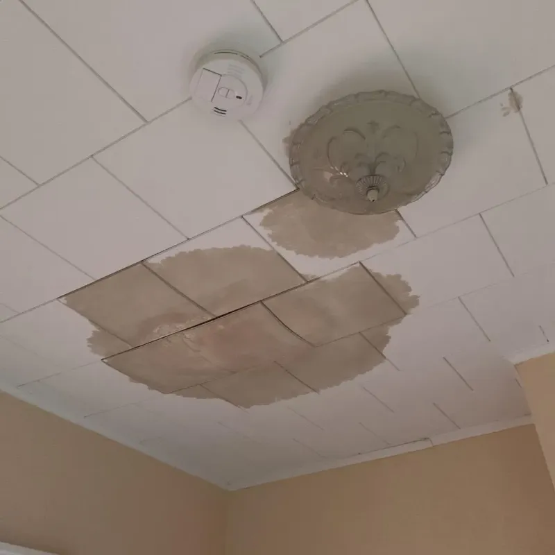 Ceiling Water Damage Repair in Romulus, MI