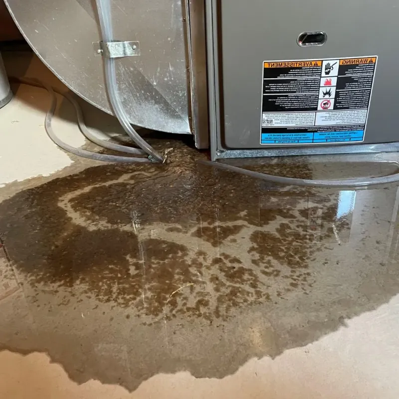 Pipe Burst and Leak Restoration in Romulus, MI