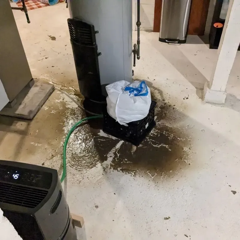 Sewage Backup Cleanup Service in Romulus, MI